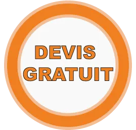 Devis traitement mérule