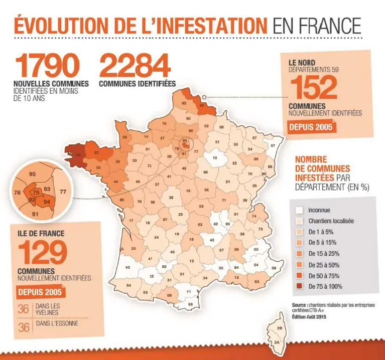 evolution de la mérule en france en 2015 par le ctba